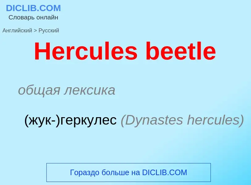 Как переводится Hercules beetle на Русский язык