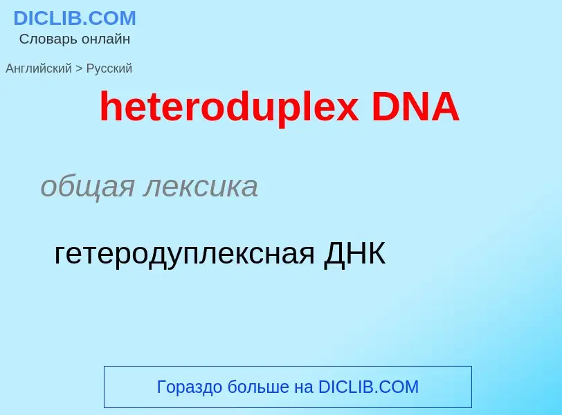 Как переводится heteroduplex DNA на Русский язык