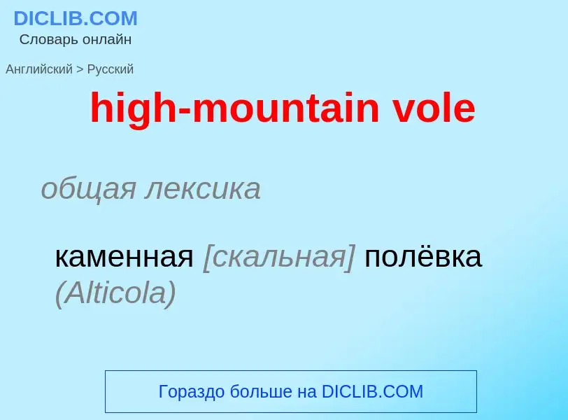 ¿Cómo se dice high-mountain vole en Ruso? Traducción de &#39high-mountain vole&#39 al Ruso