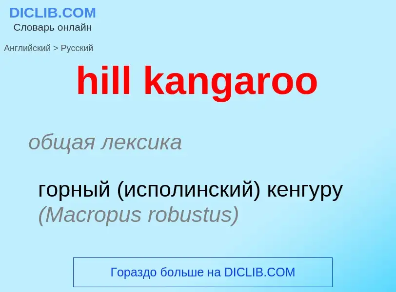 Как переводится hill kangaroo на Русский язык