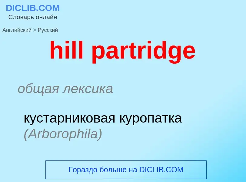 Как переводится hill partridge на Русский язык