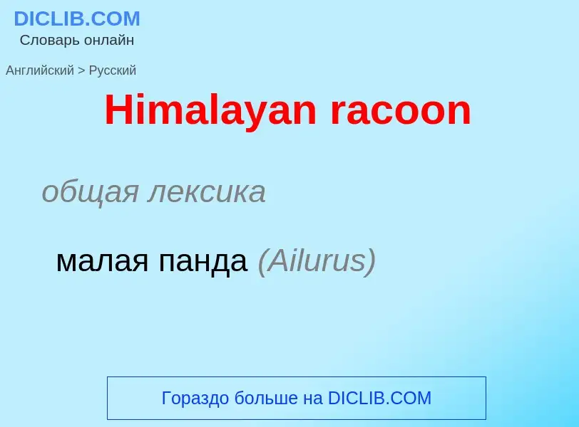 ¿Cómo se dice Himalayan racoon en Ruso? Traducción de &#39Himalayan racoon&#39 al Ruso