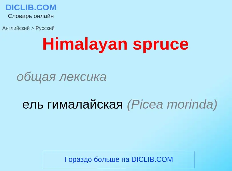 Как переводится Himalayan spruce на Русский язык