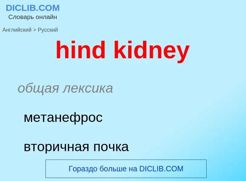 ¿Cómo se dice hind kidney en Ruso? Traducción de &#39hind kidney&#39 al Ruso