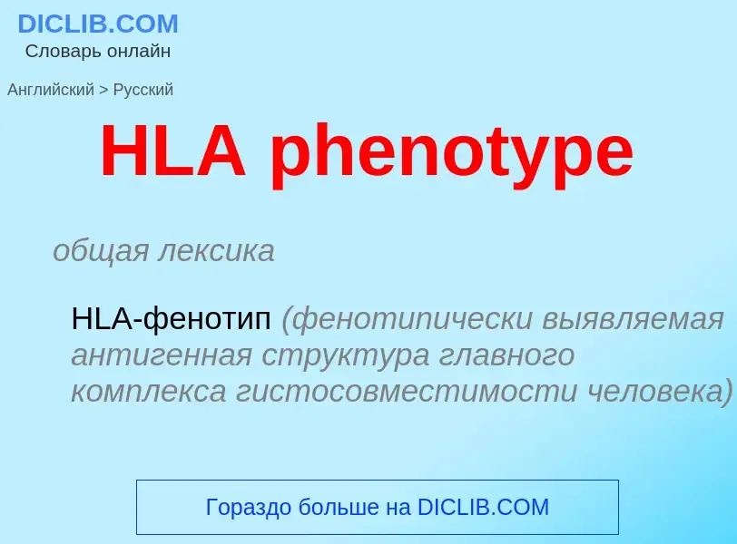 Vertaling van &#39HLA phenotype&#39 naar Russisch