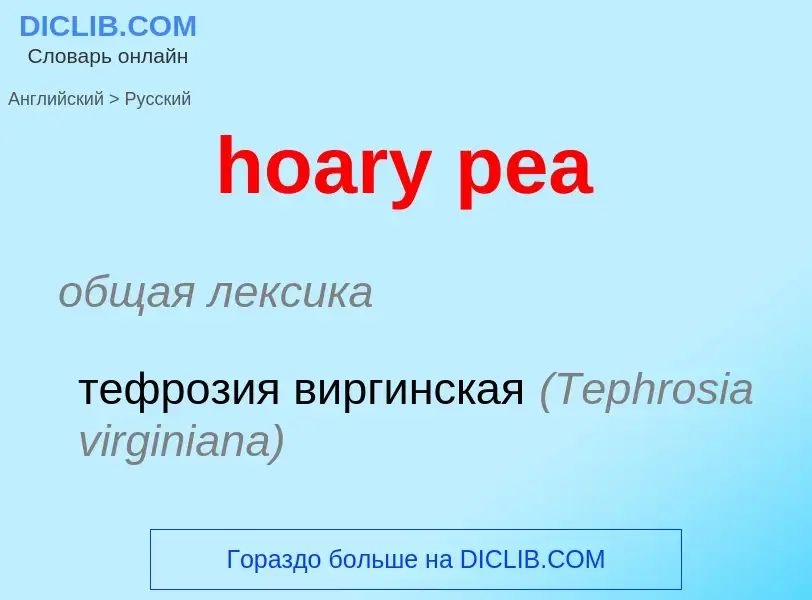 ¿Cómo se dice hoary pea en Ruso? Traducción de &#39hoary pea&#39 al Ruso