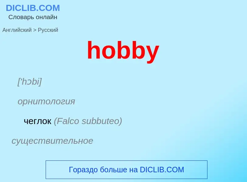 Как переводится hobby на Русский язык