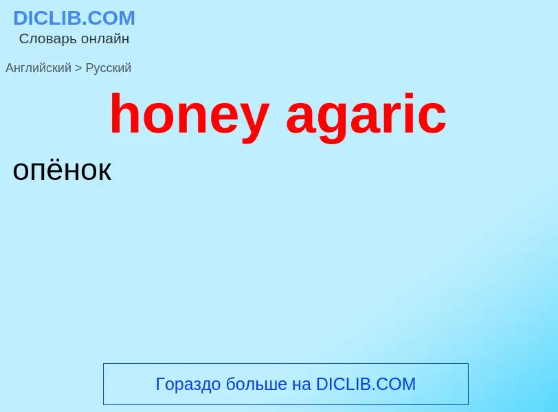 Traduction de &#39honey agaric&#39 en Russe