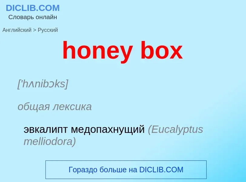 Как переводится honey box на Русский язык