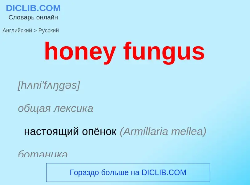 Μετάφραση του &#39honey fungus&#39 σε Ρωσικά