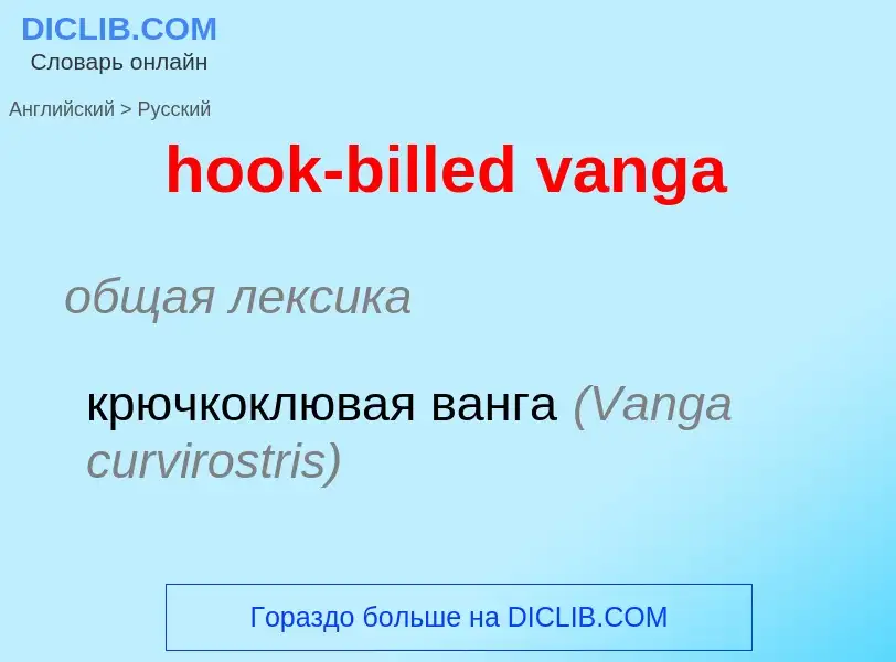 Как переводится hook-billed vanga на Русский язык