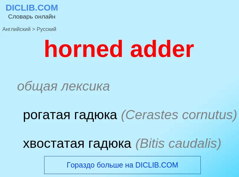 ¿Cómo se dice horned adder en Ruso? Traducción de &#39horned adder&#39 al Ruso