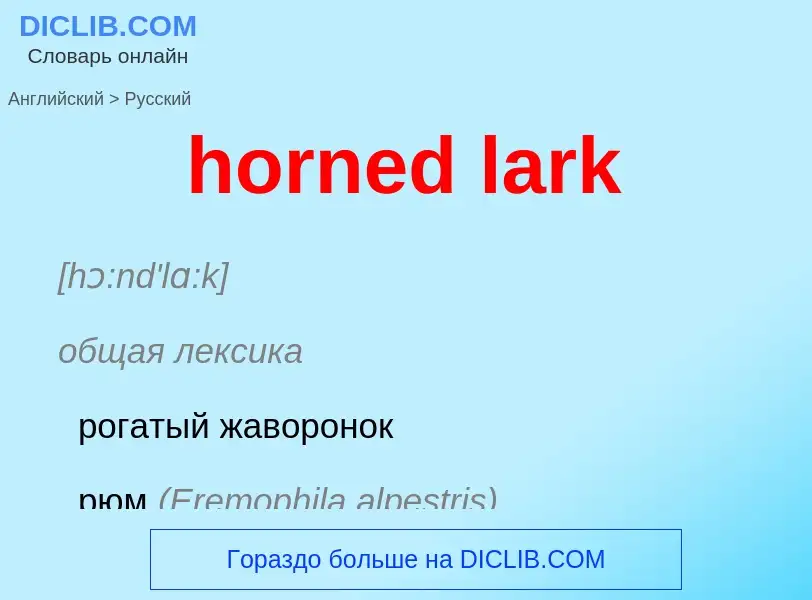 What is the Russian for horned lark? Translation of &#39horned lark&#39 to Russian