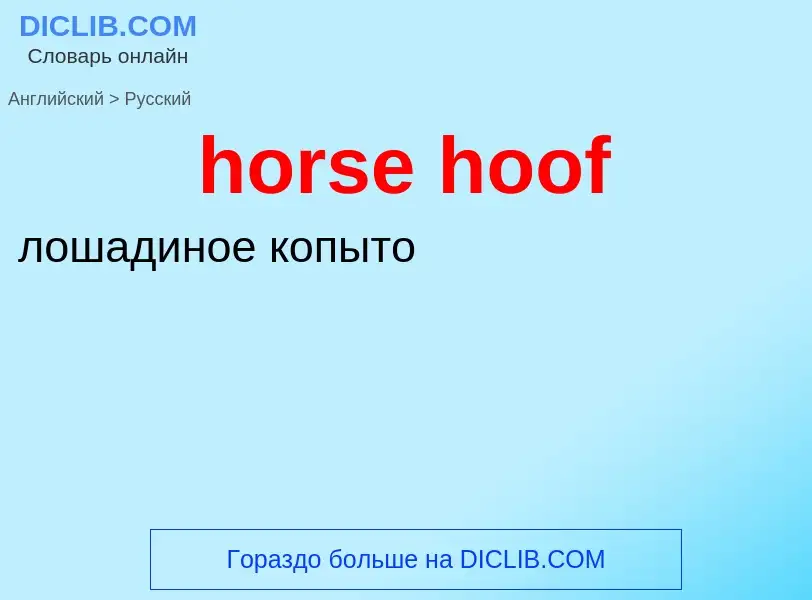 Как переводится horse hoof на Русский язык