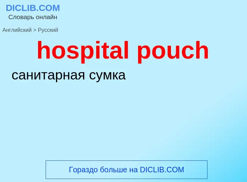 What is the Russian for hospital pouch? Translation of &#39hospital pouch&#39 to Russian