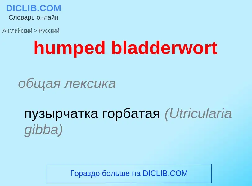 Como se diz humped bladderwort em Russo? Tradução de &#39humped bladderwort&#39 em Russo