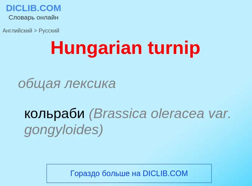 Как переводится Hungarian turnip на Русский язык