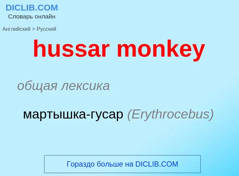 Traduzione di &#39hussar monkey&#39 in Russo