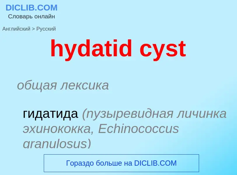 Как переводится hydatid cyst на Русский язык