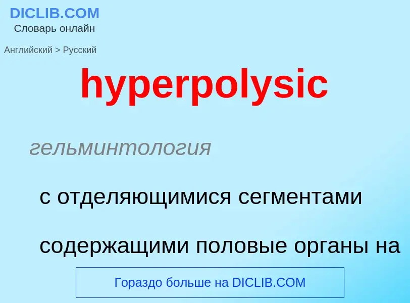 Übersetzung von &#39hyperpolysic&#39 in Russisch