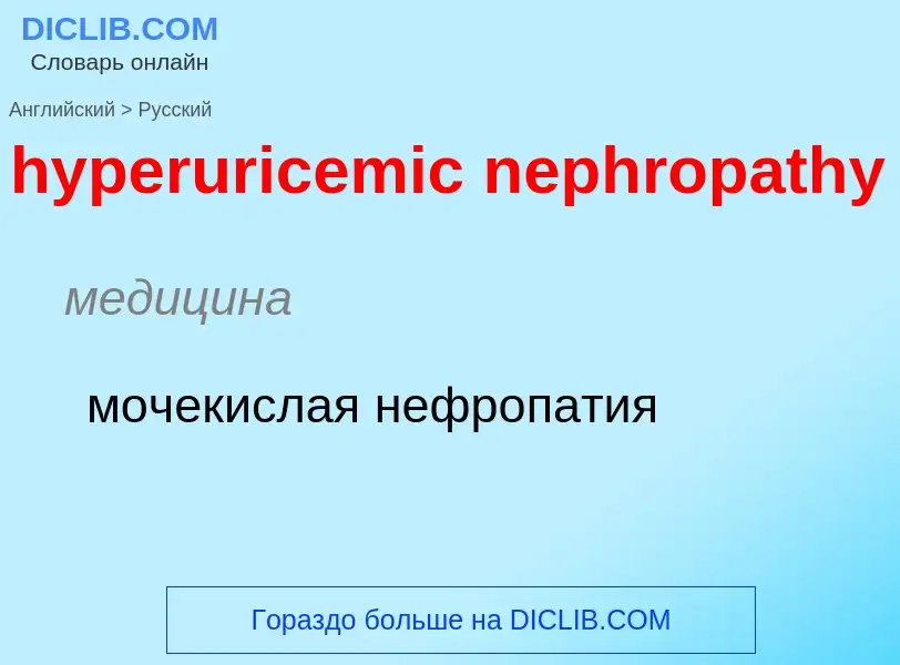 Übersetzung von &#39hyperuricemic nephropathy&#39 in Russisch