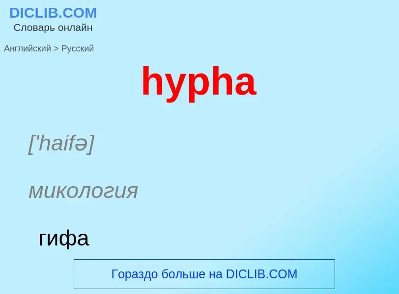 Übersetzung von &#39hypha&#39 in Russisch