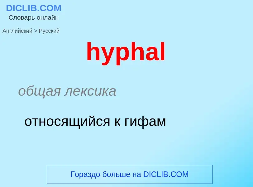 Как переводится hyphal на Русский язык