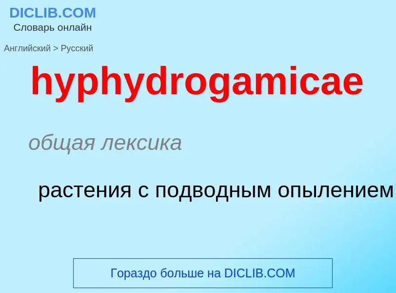 Übersetzung von &#39hyphydrogamicae&#39 in Russisch