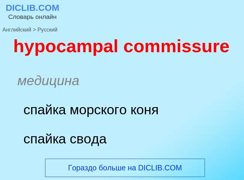 Как переводится hypocampal commissure на Русский язык