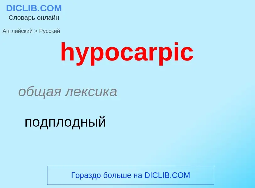 Как переводится hypocarpic на Русский язык