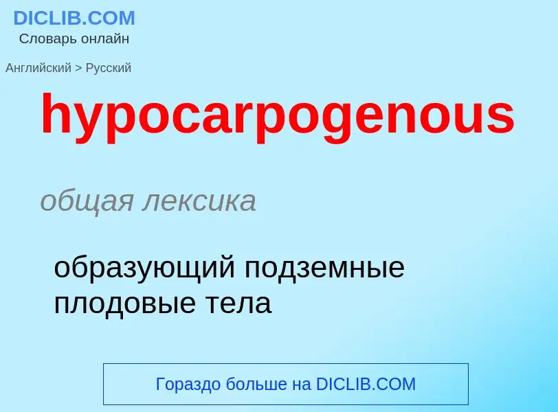 Как переводится hypocarpogenous на Русский язык