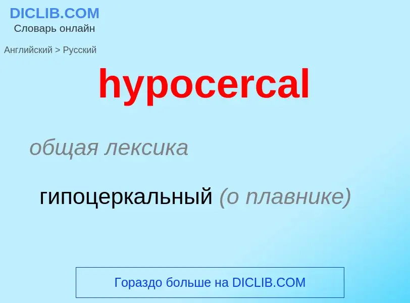 Как переводится hypocercal на Русский язык