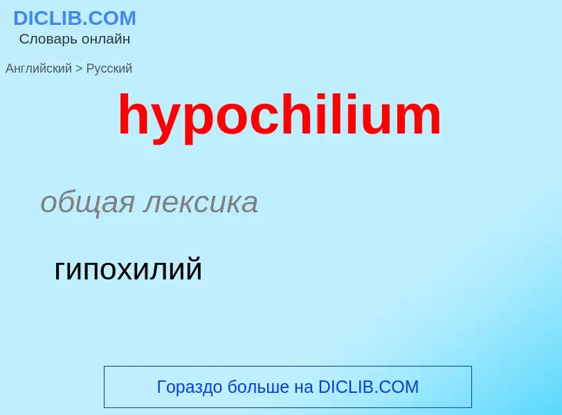 Как переводится hypochilium на Русский язык