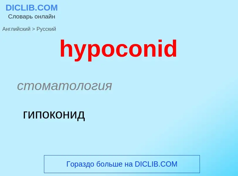 Как переводится hypoconid на Русский язык