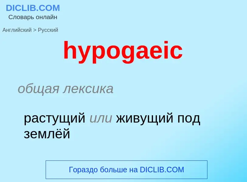 Übersetzung von &#39hypogaeic&#39 in Russisch