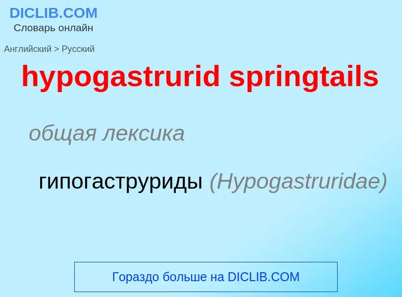 Μετάφραση του &#39hypogastrurid springtails&#39 σε Ρωσικά