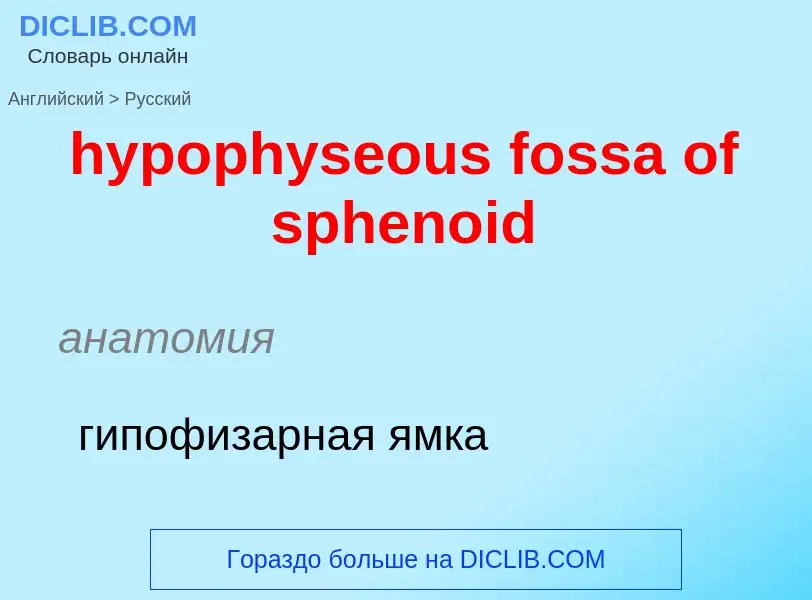 ¿Cómo se dice hypophyseous fossa of sphenoid en Ruso? Traducción de &#39hypophyseous fossa of spheno