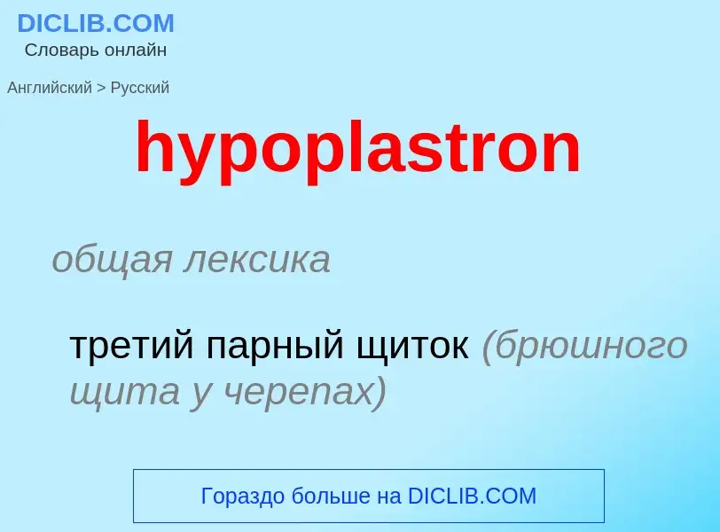 What is the الروسية for hypoplastron? Translation of &#39hypoplastron&#39 to الروسية