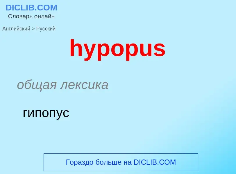 What is the الروسية for hypopus? Translation of &#39hypopus&#39 to الروسية