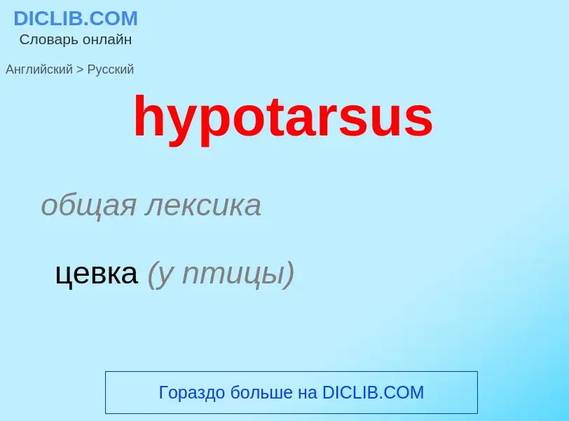 ¿Cómo se dice hypotarsus en Ruso? Traducción de &#39hypotarsus&#39 al Ruso