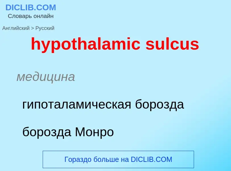 ¿Cómo se dice hypothalamic sulcus en Ruso? Traducción de &#39hypothalamic sulcus&#39 al Ruso