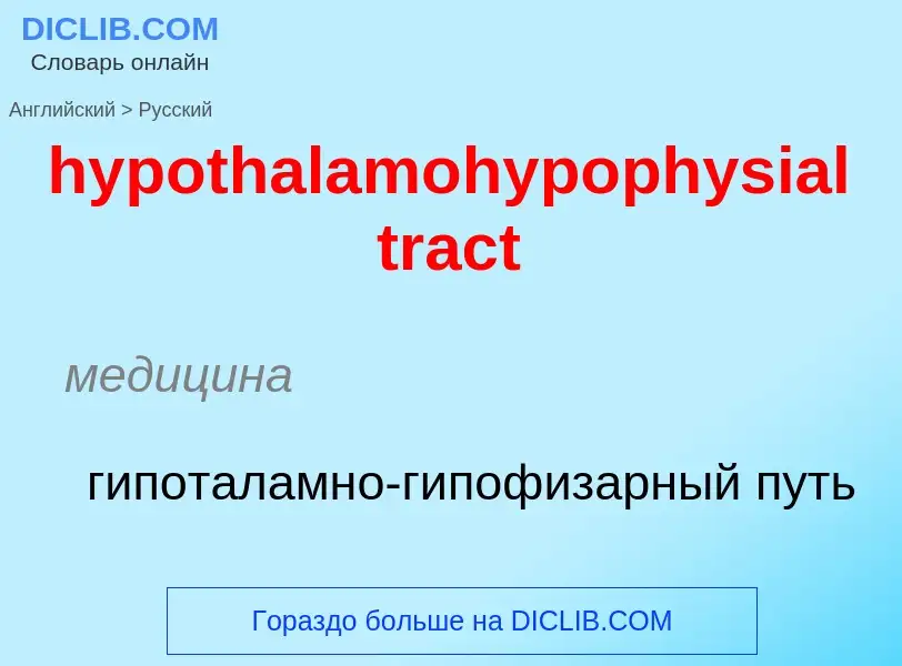 ¿Cómo se dice hypothalamohypophysial tract en Ruso? Traducción de &#39hypothalamohypophysial tract&#