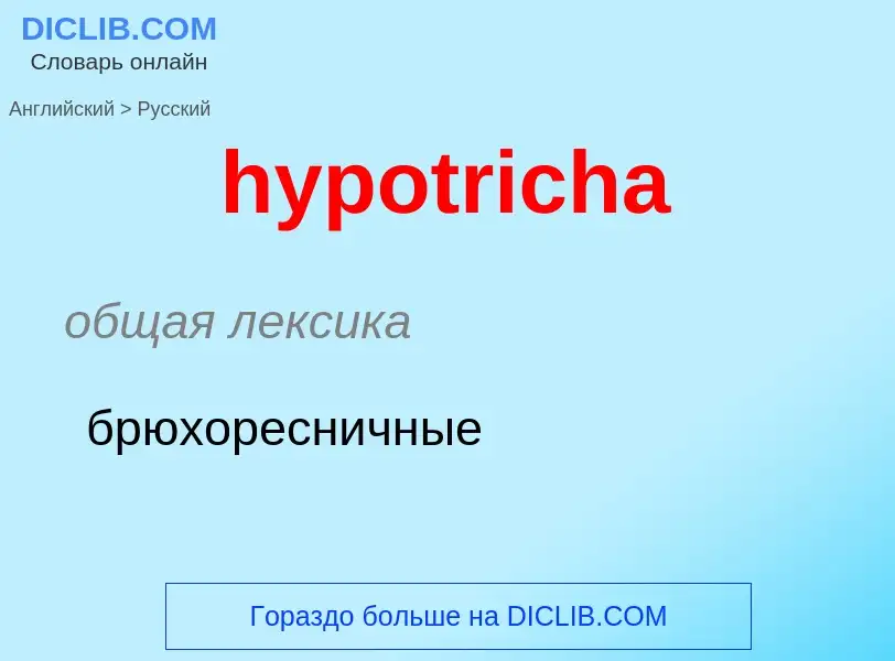 ¿Cómo se dice hypotricha en Ruso? Traducción de &#39hypotricha&#39 al Ruso