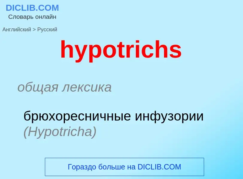 ¿Cómo se dice hypotrichs en Ruso? Traducción de &#39hypotrichs&#39 al Ruso