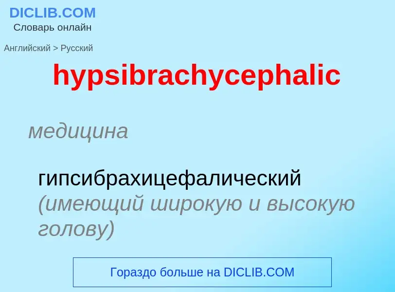 ¿Cómo se dice hypsibrachycephalic en Ruso? Traducción de &#39hypsibrachycephalic&#39 al Ruso