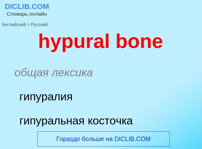 Vertaling van &#39hypural bone&#39 naar Russisch