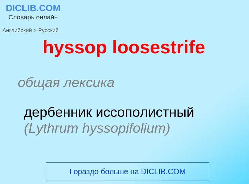 Как переводится hyssop loosestrife на Русский язык