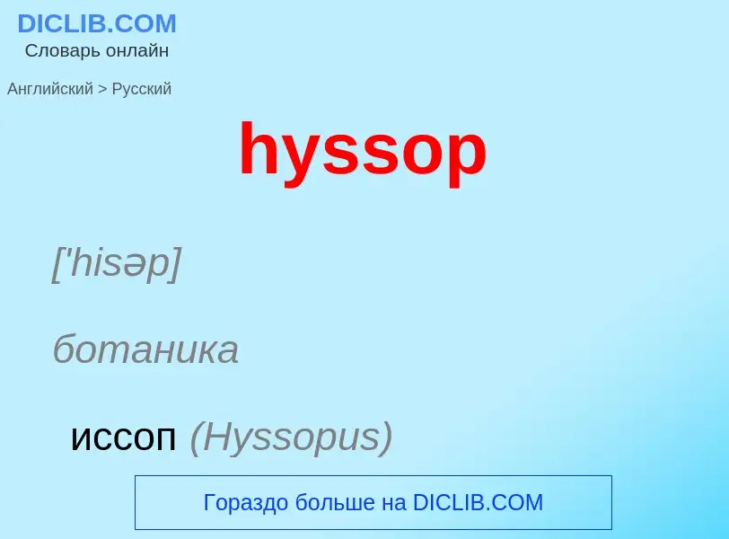 Как переводится hyssop на Русский язык