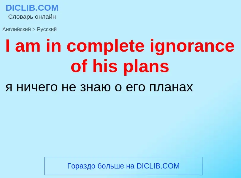 Vertaling van &#39I am in complete ignorance of his plans&#39 naar Russisch