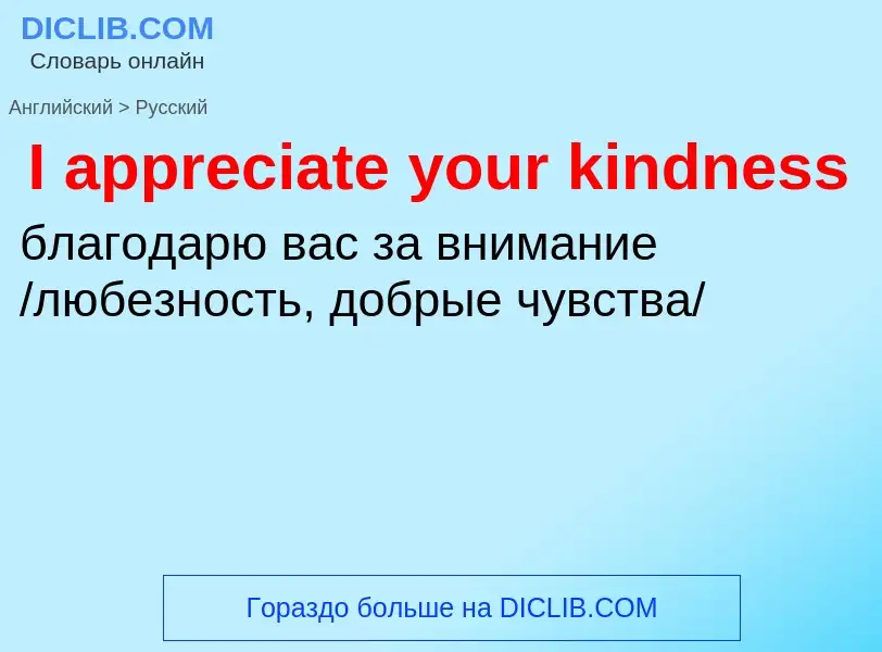 Как переводится I appreciate your kindness на Русский язык